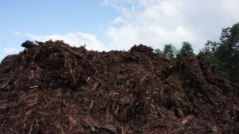 自然の恵みを無駄なく バーク堆肥 株式会社トライ ウッド